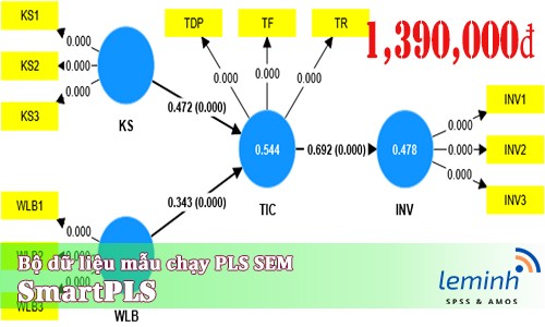 Bộ dữ liệu mẫu (Mã: Data23060401)